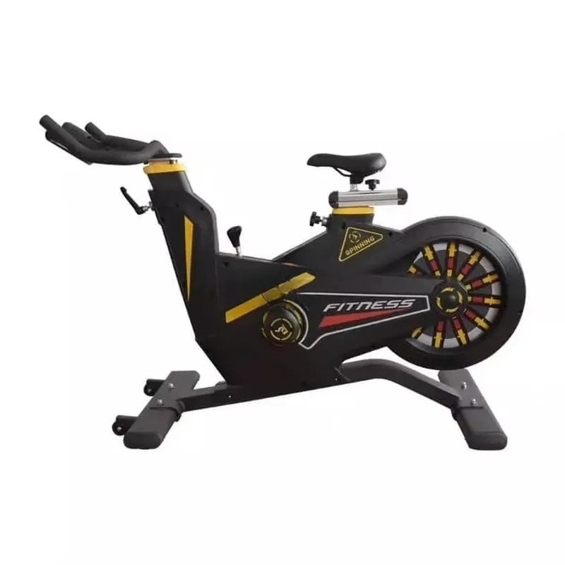 Home Gym Workout - Vélo de spinning commercial, vélo d'exercice