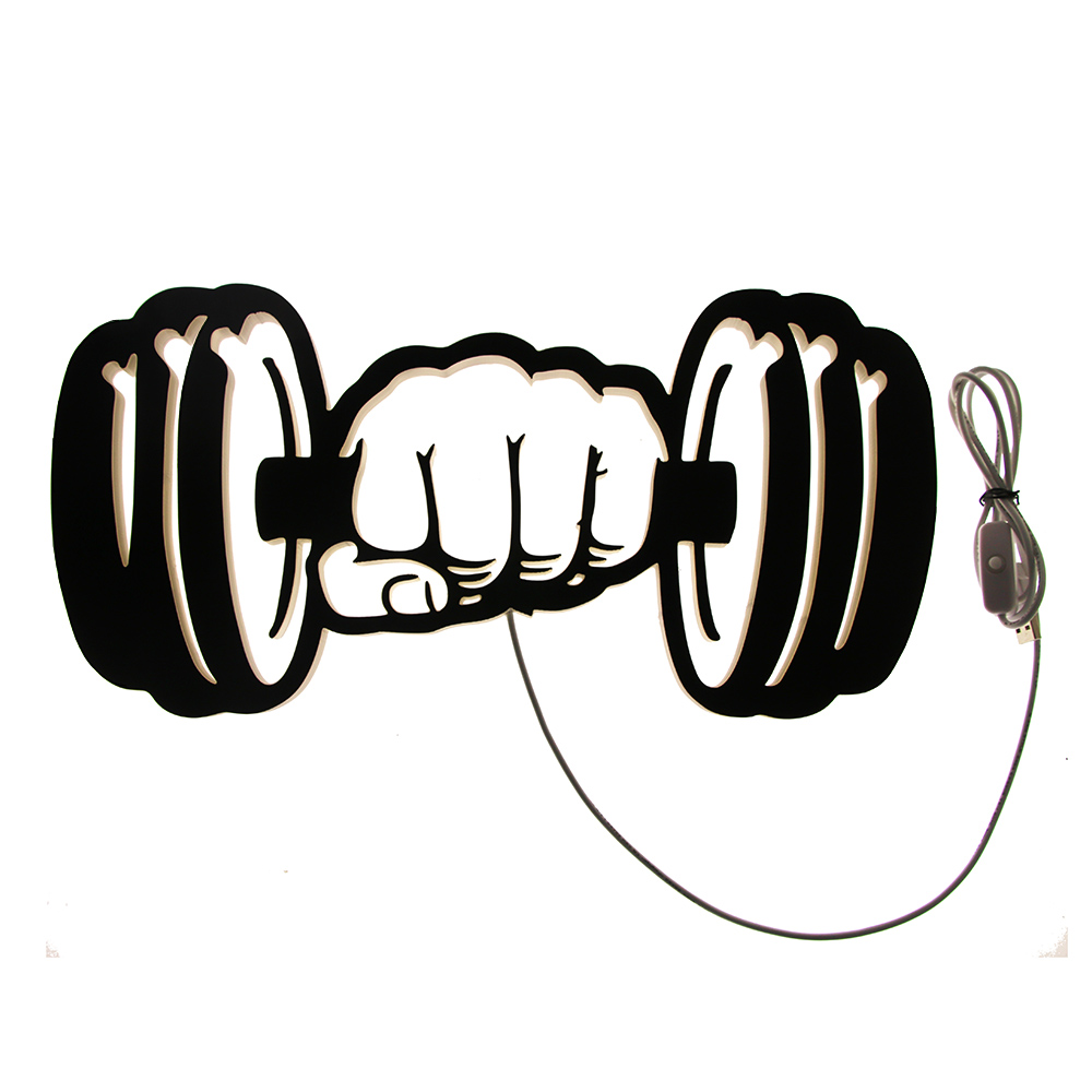 Haltères force mur LED signe l - Home Gym Dumbbell Workout avis et prix