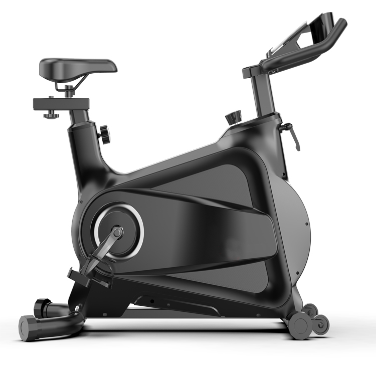 Vélo d'exercice pour Club de F - Home Gym Bike avis et prix