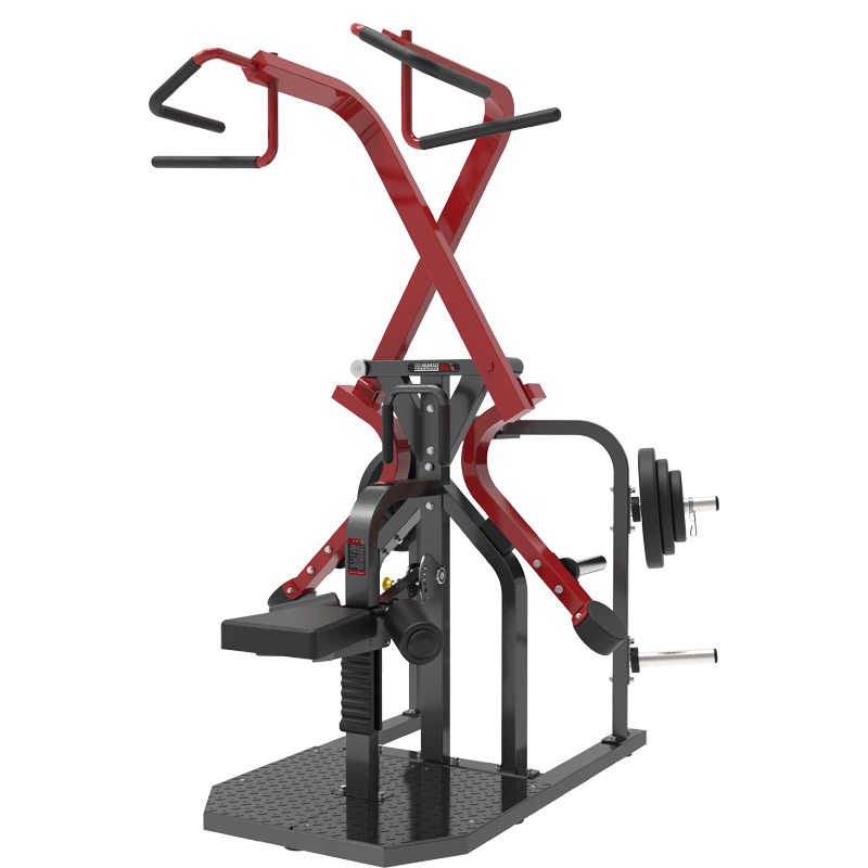 Machine de musculation profess - Home Gym Lat Pulldown Machine avis et prix