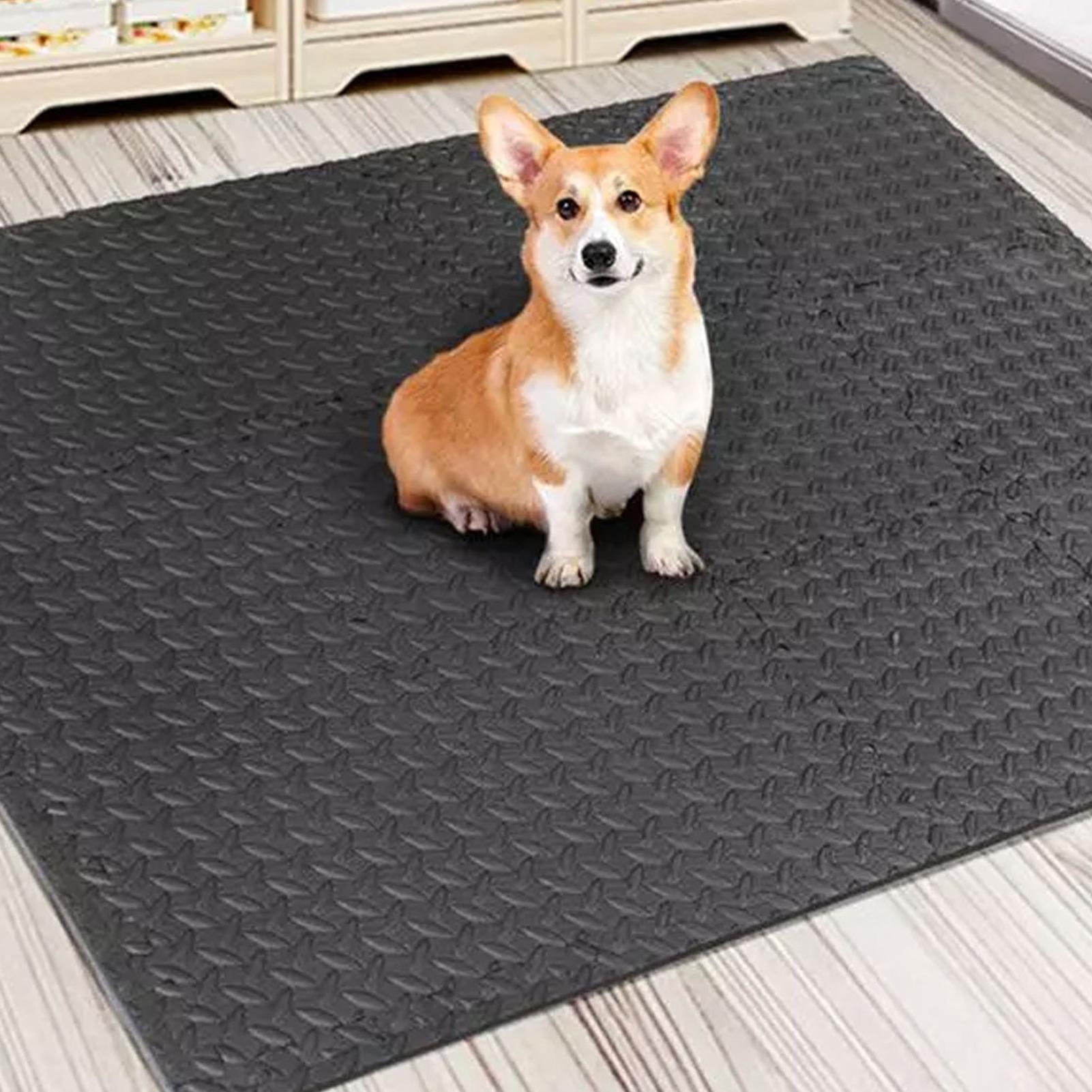 Tapis d'exercice Puzzle 12 piè - Home Gym For Toddlers avis et prix