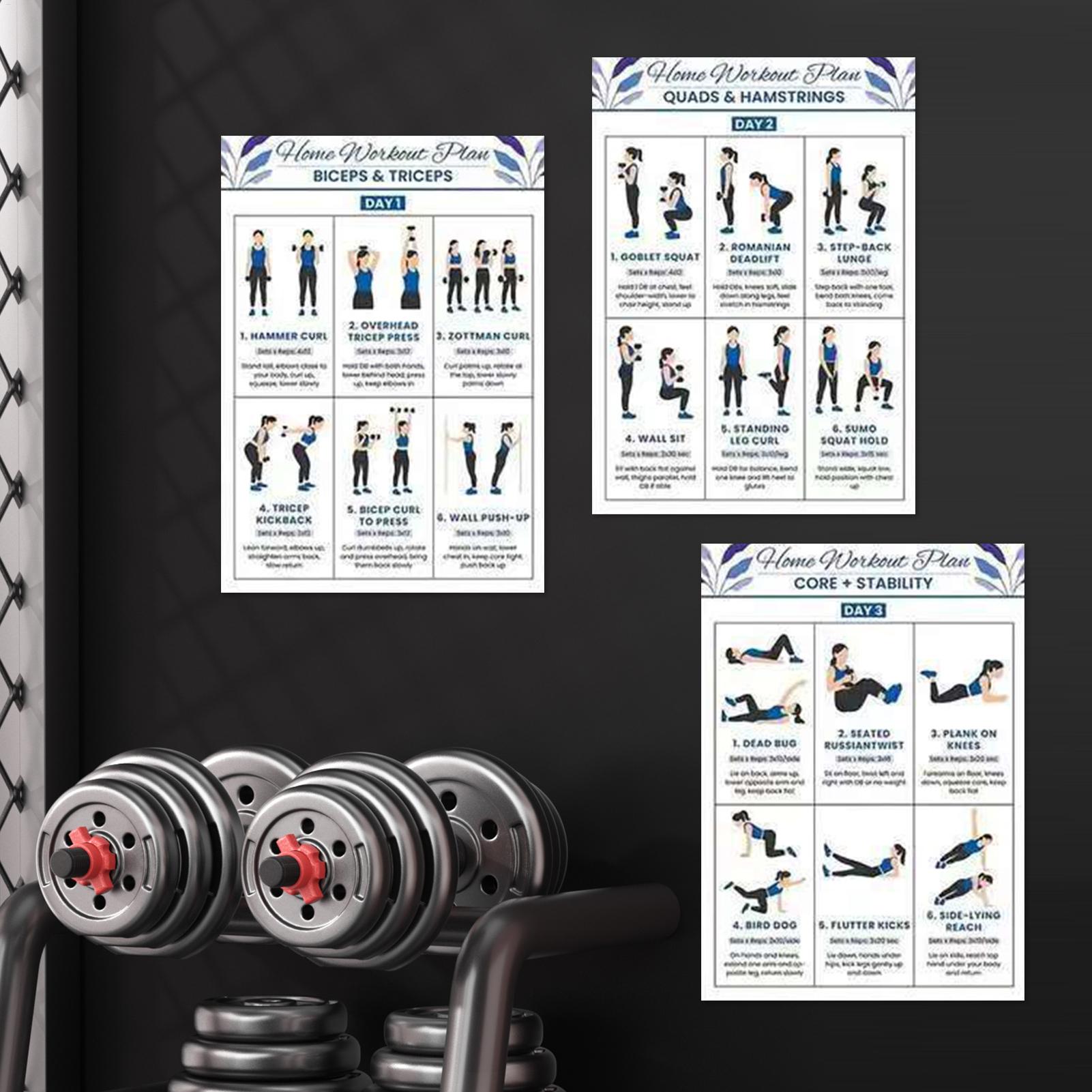 Affiche d'entraînement d'étire - Home Gym Dumbbell Workout avis et prix